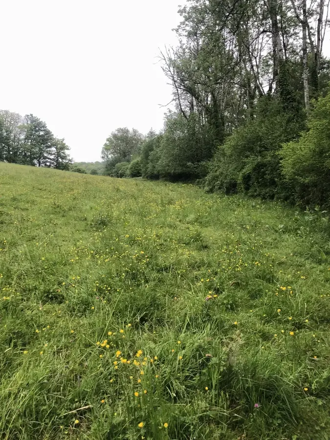 le bois du livet — photo 2