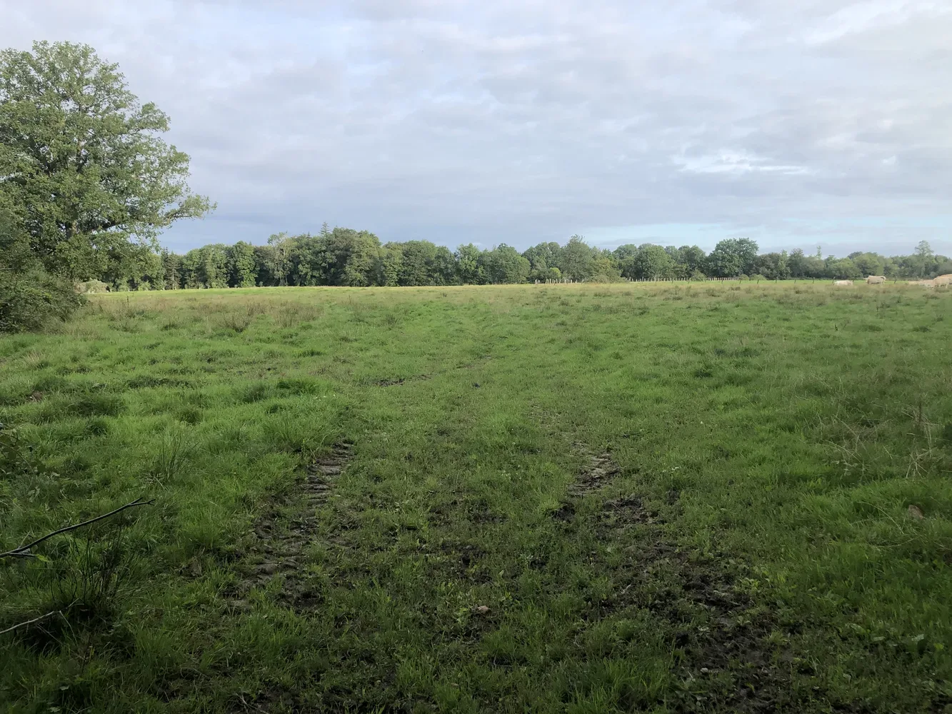 le bois du livet — photo 3