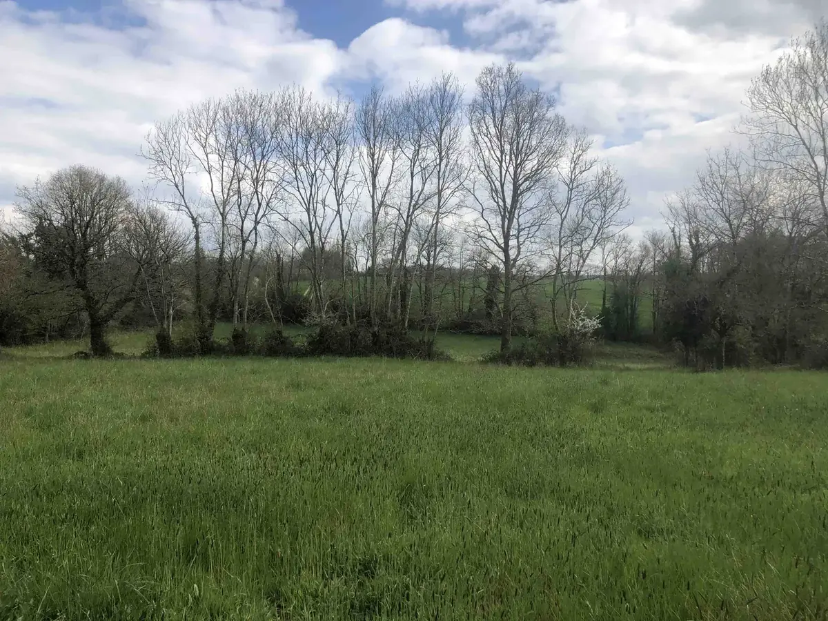 le bois de sainte barbe — photo 1