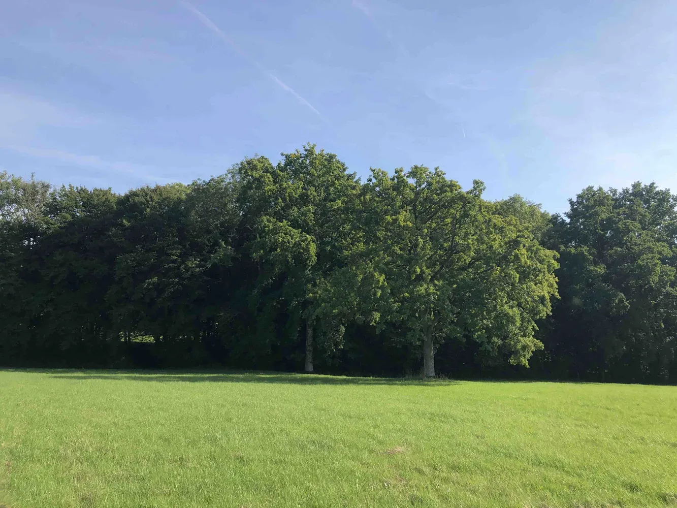 le bois de sainte barbe — photo 2