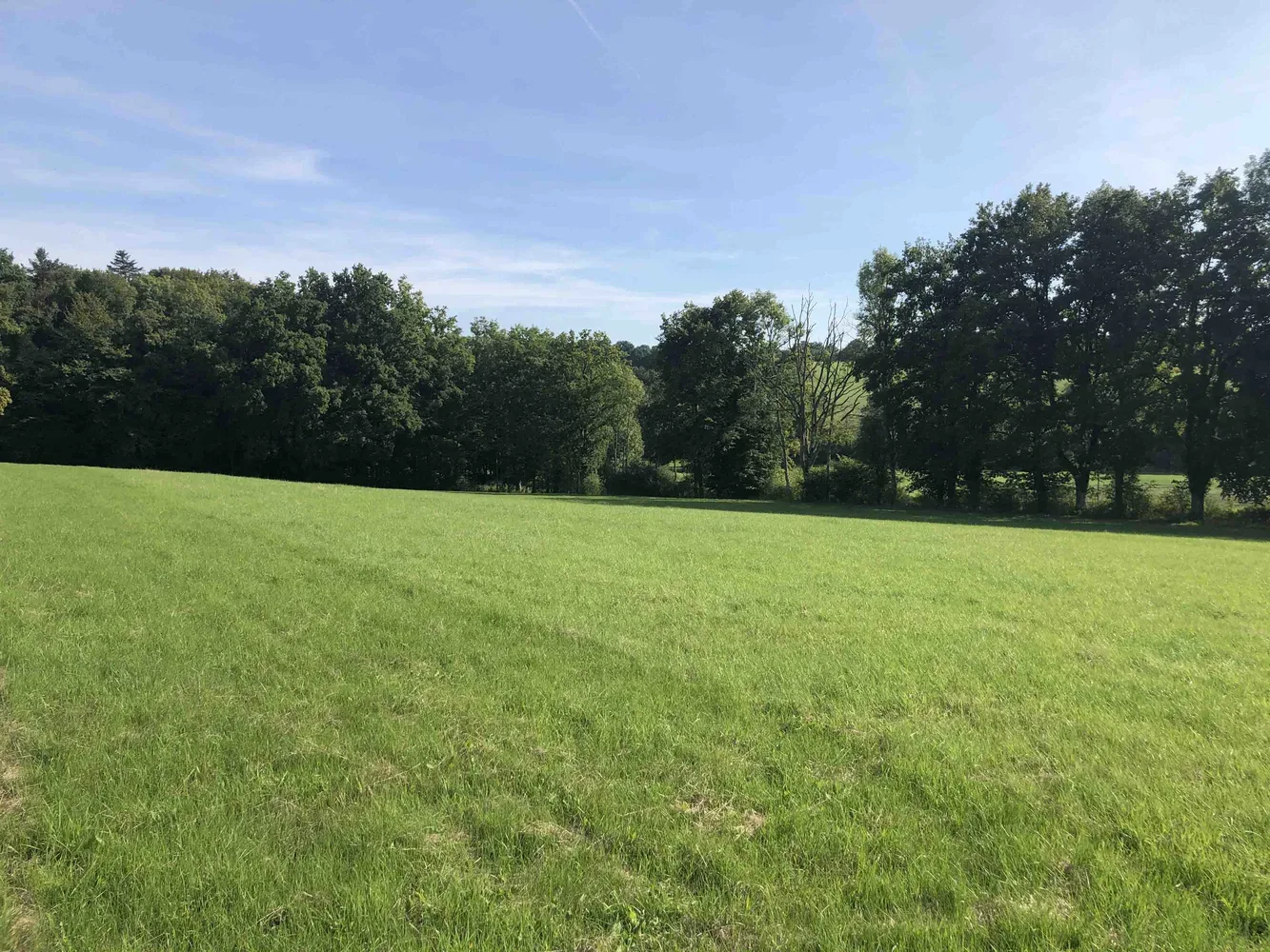 le bois de sainte barbe — photo 3