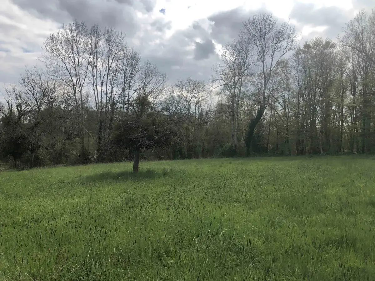 le bois de sainte barbe — photo 4