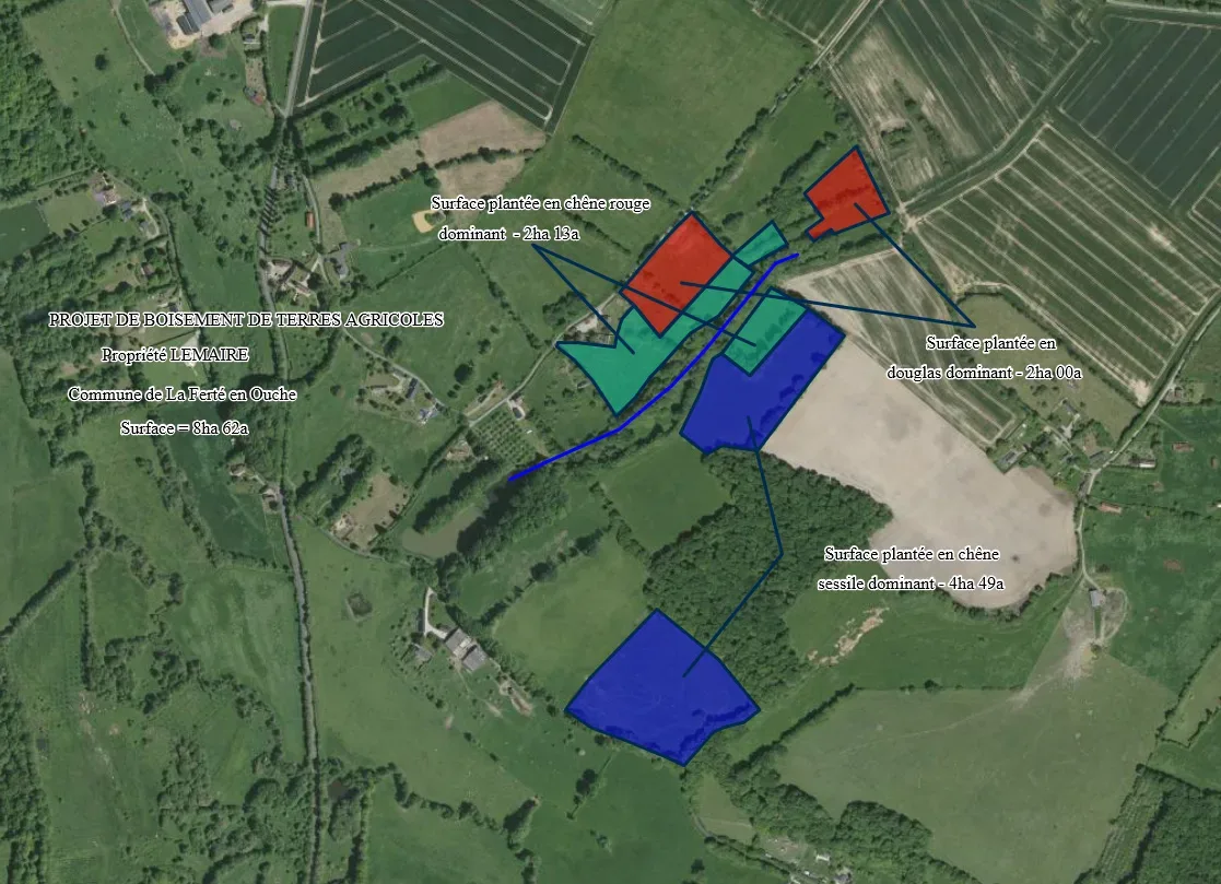 le bois de sainte barbe — photo 5