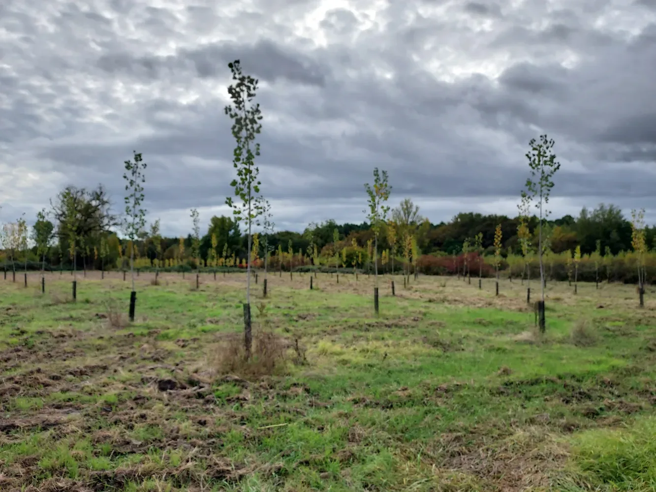 le bois de la bastide — photo 1