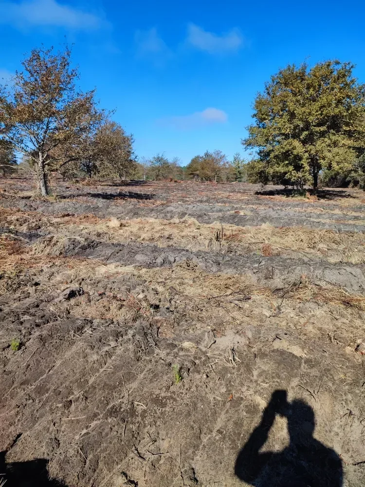 le bois de barasson — photo 1