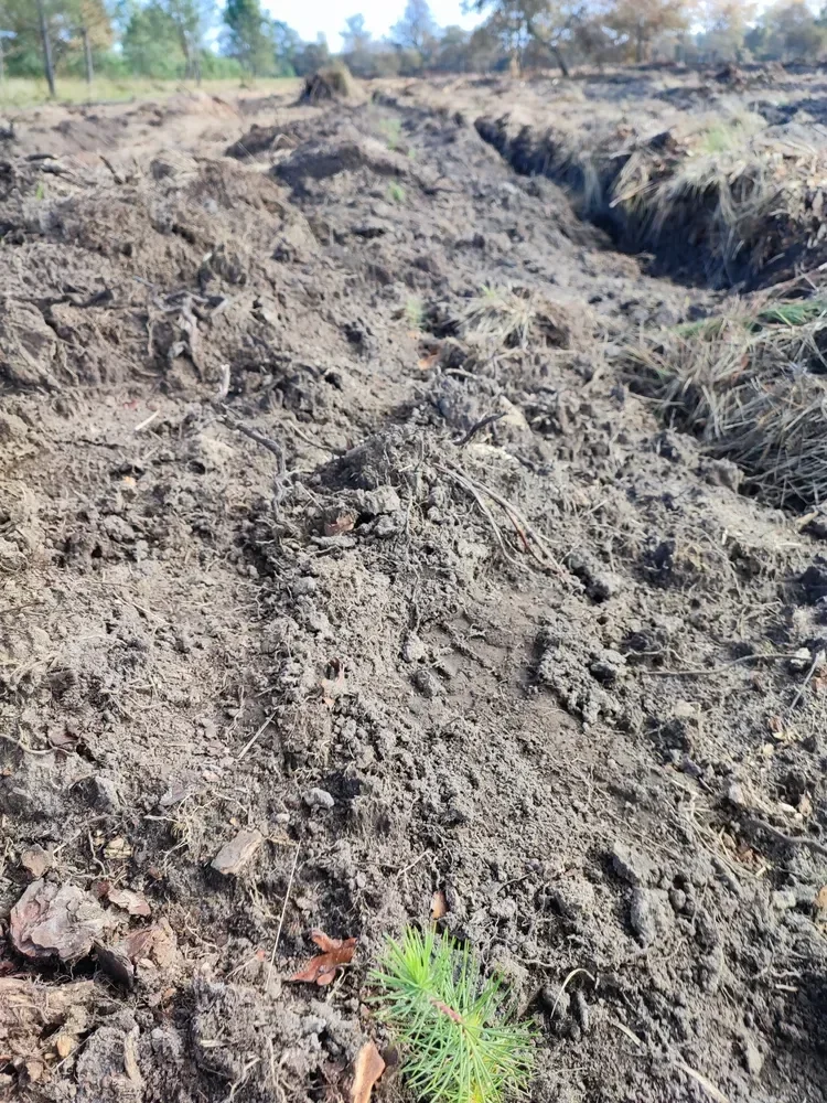 le bois de barasson — photo 2