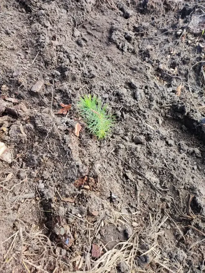 le bois de barasson — photo 3