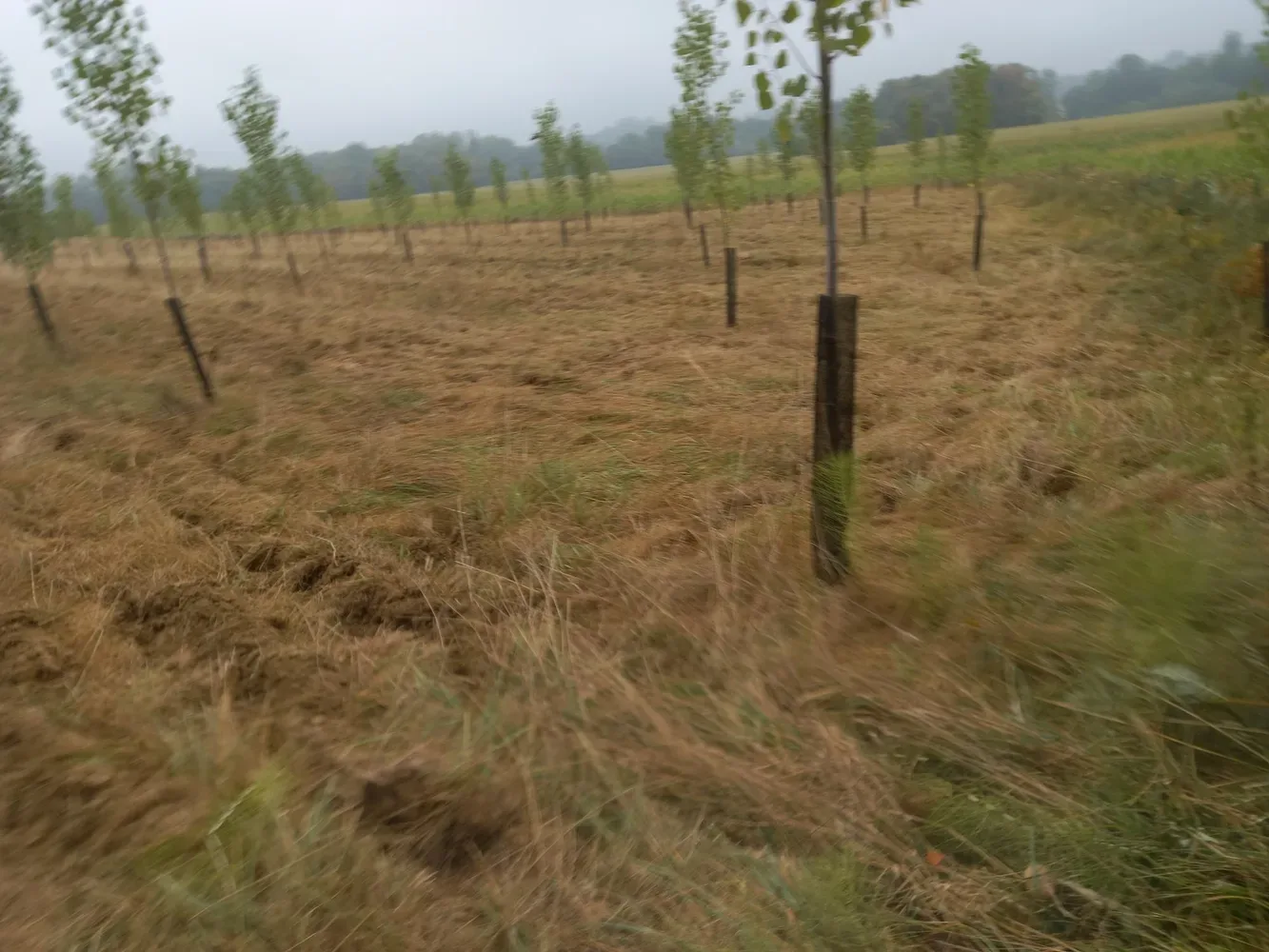 le bois du lievre — photo 1