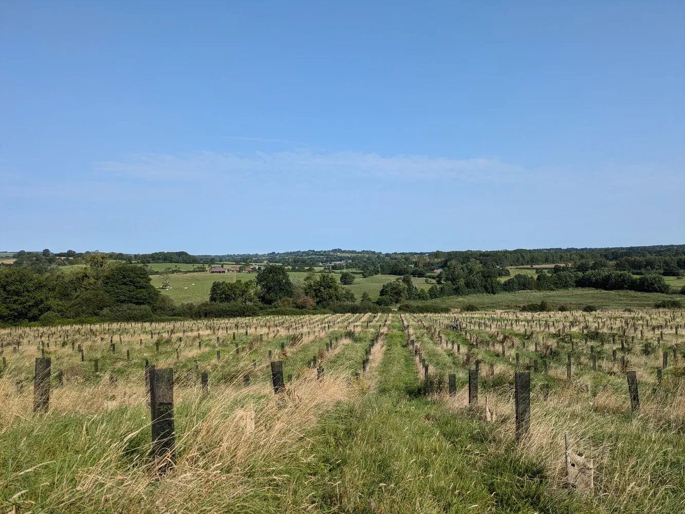 le bois des quatre rivieres — photo 2