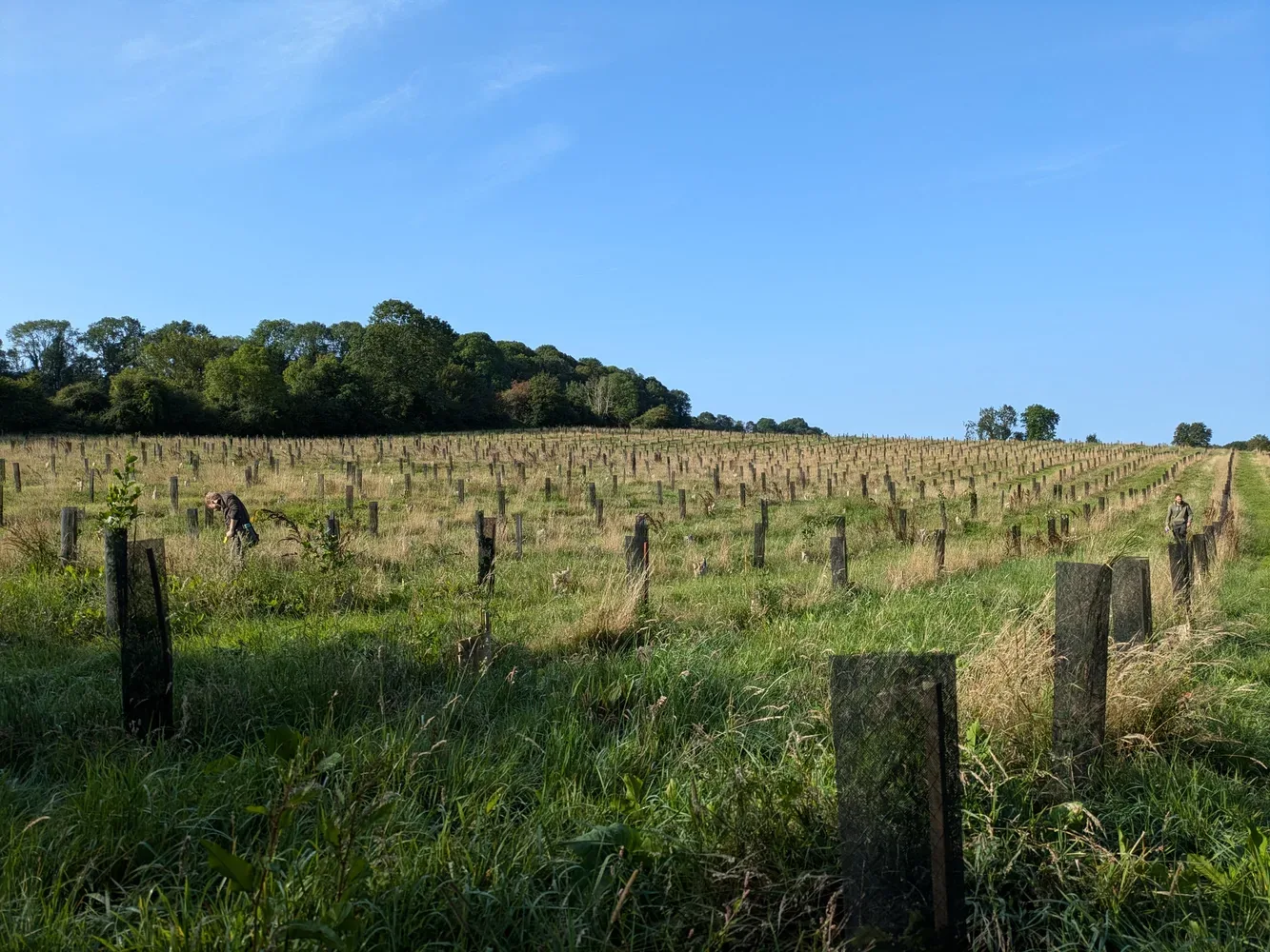 le bois des quatre rivieres — photo 3