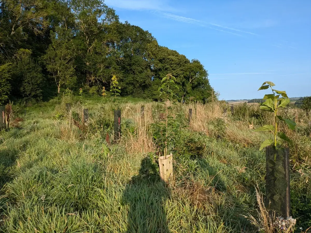 le bois des quatre rivieres — photo 4