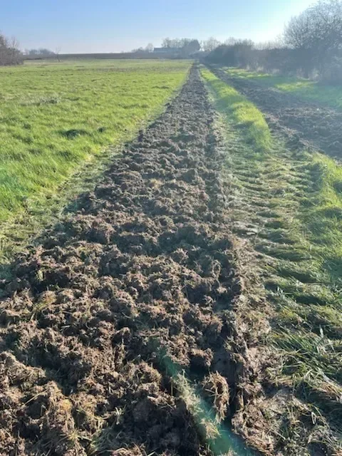 le bois de la marriere — photo 2