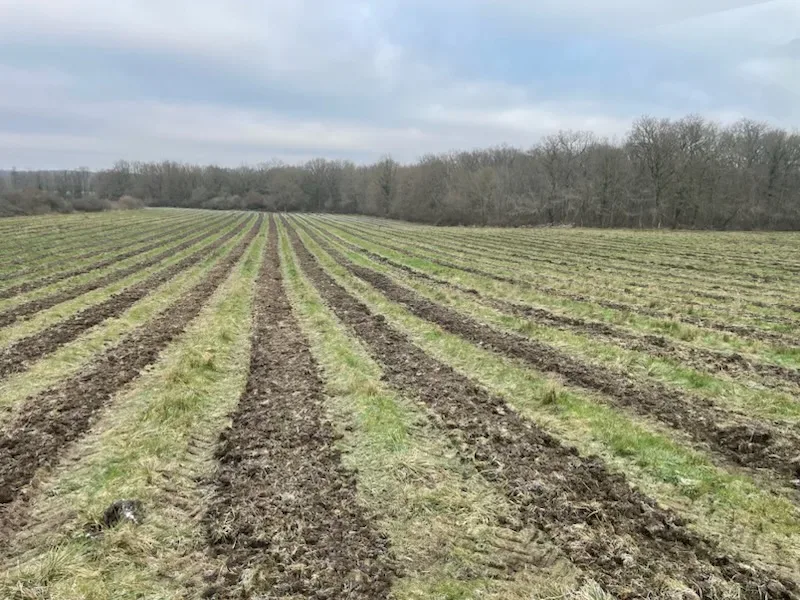 le bois de la marriere — photo 3