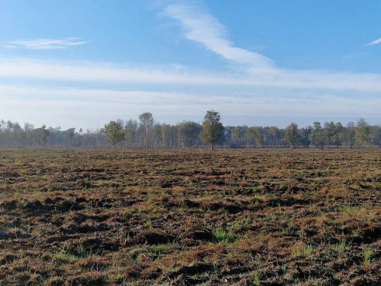 le bois du boscq hicot — photo 1