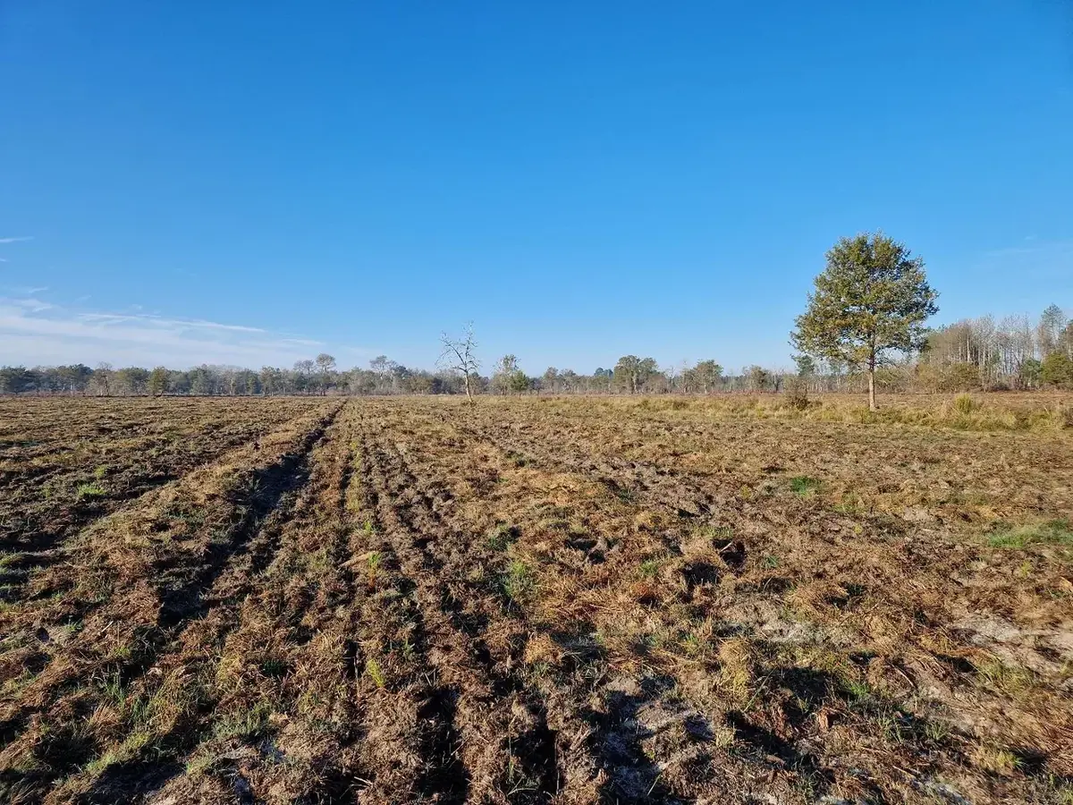 le bois du boscq hicot — photo 2