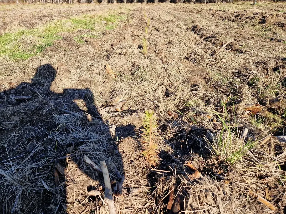 le bois de pargot — photo 2