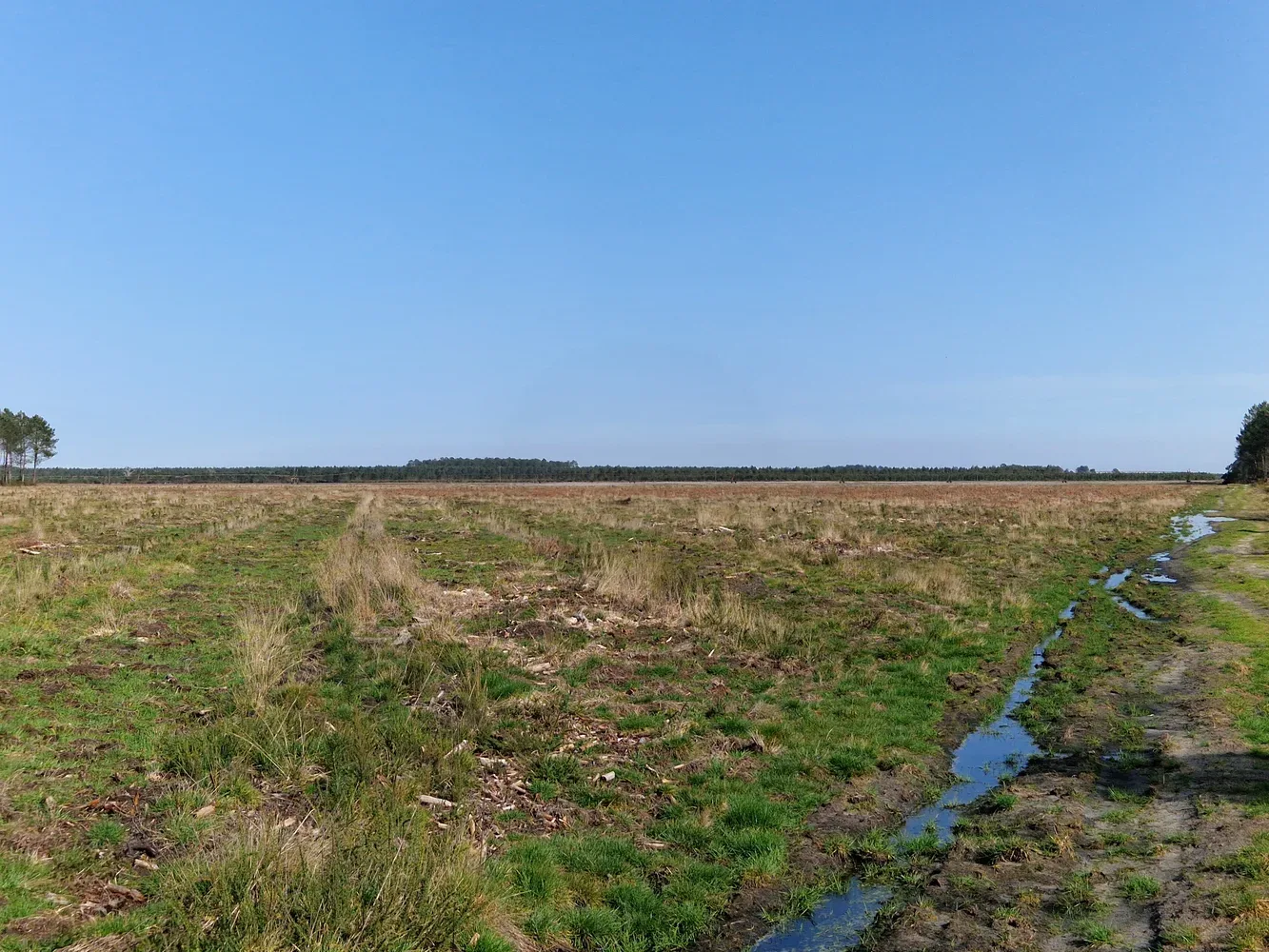 le bois de la lagune — photo 2