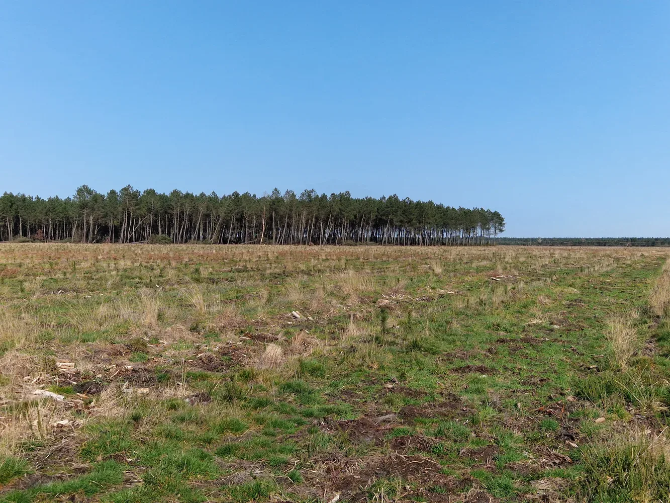 le bois de la lagune — photo 4