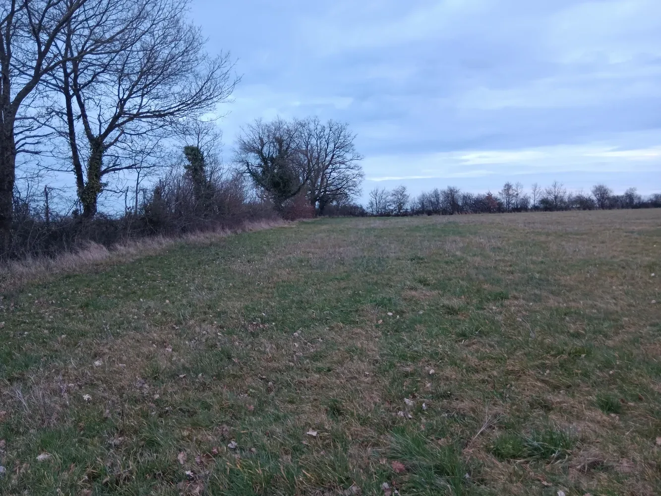 le bois de jolines — photo 2