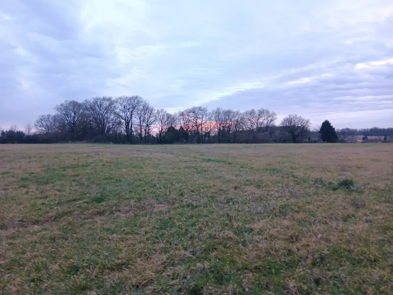 le bois de jolines — photo 3