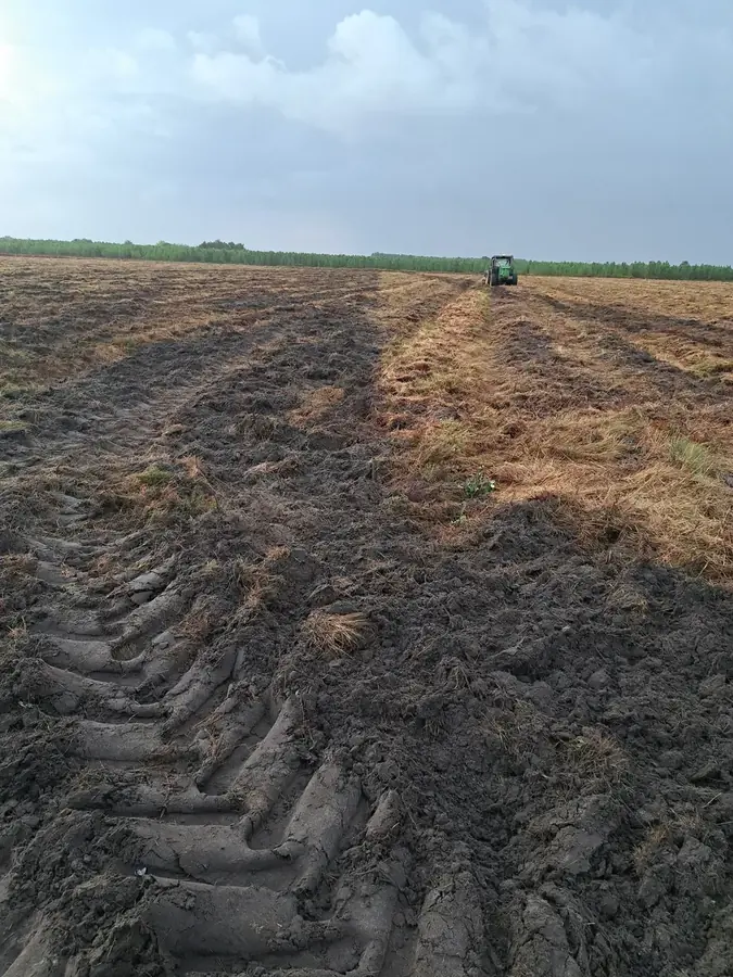 le bois de miou — photo 1