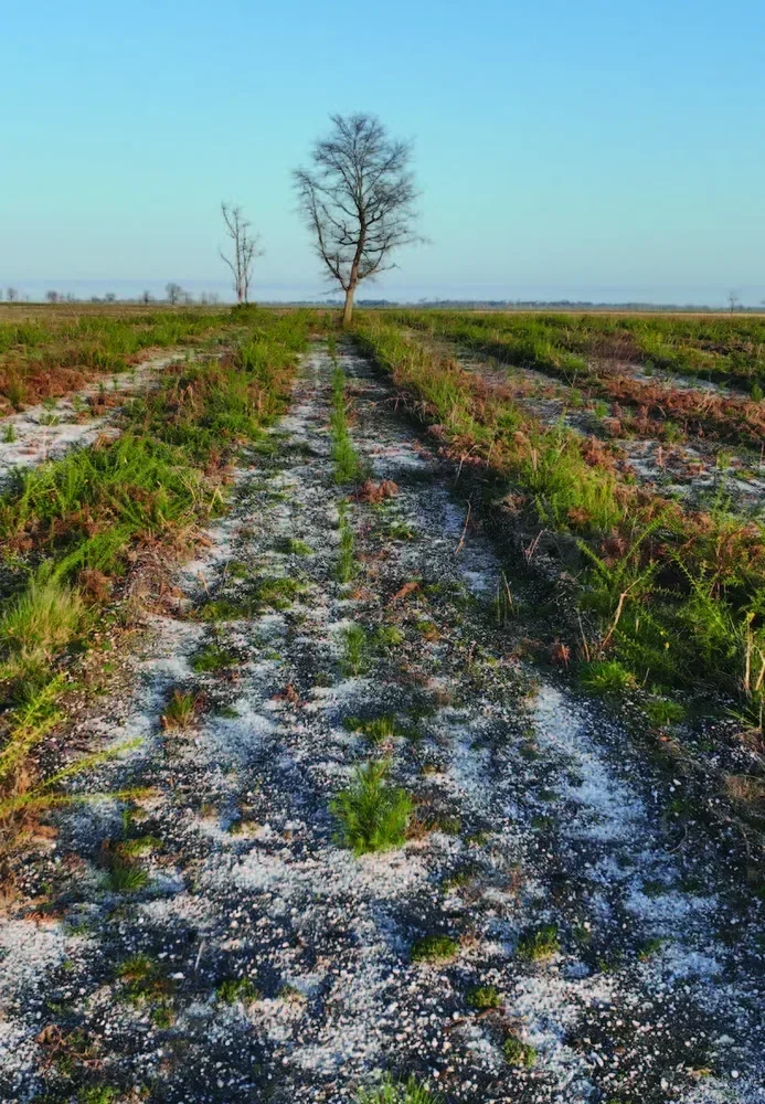 le bois des cavernes — photo 2