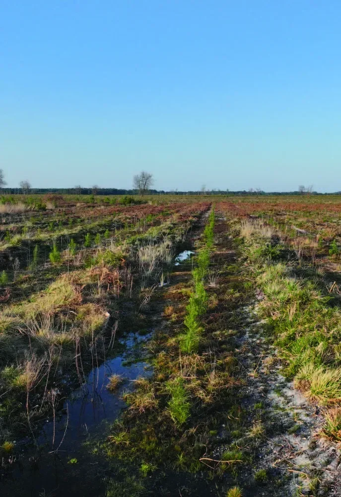 le bois des cavernes — photo 3