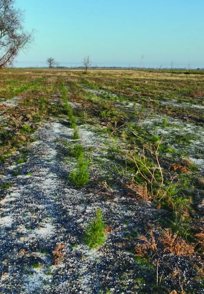 le bois des cavernes — photo 4
