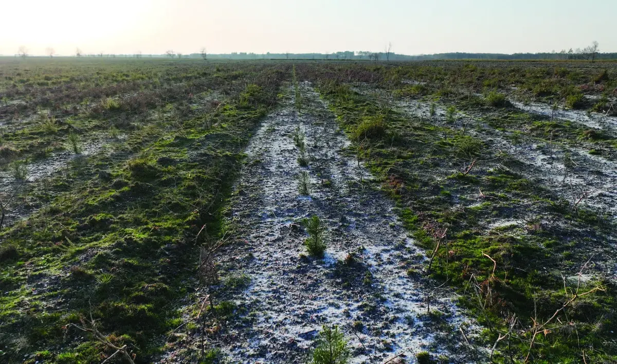 le bois des cavernes — photo 5