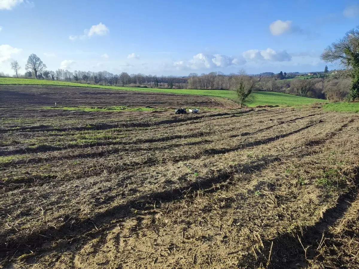 le bois vicomte — photo 5