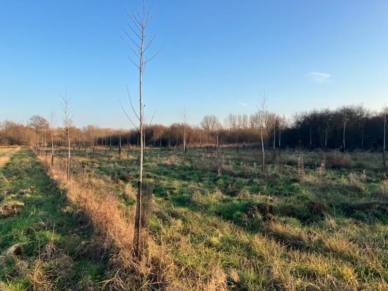 le bois des carrels — photo 2