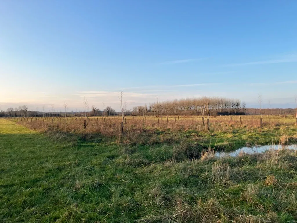 le bois des carrels — photo 3