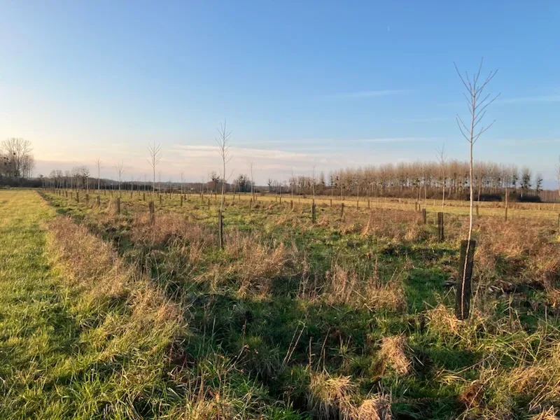 le bois des carrels — photo 4