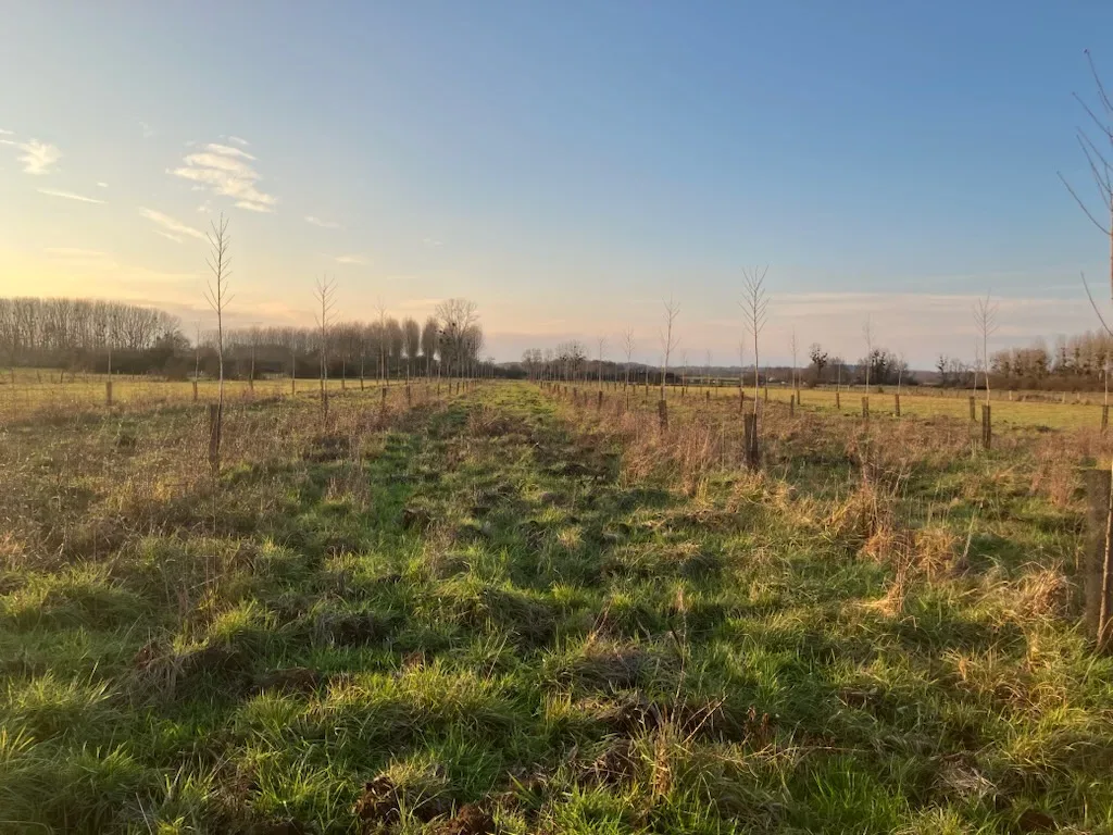 le bois des carrels — photo 5
