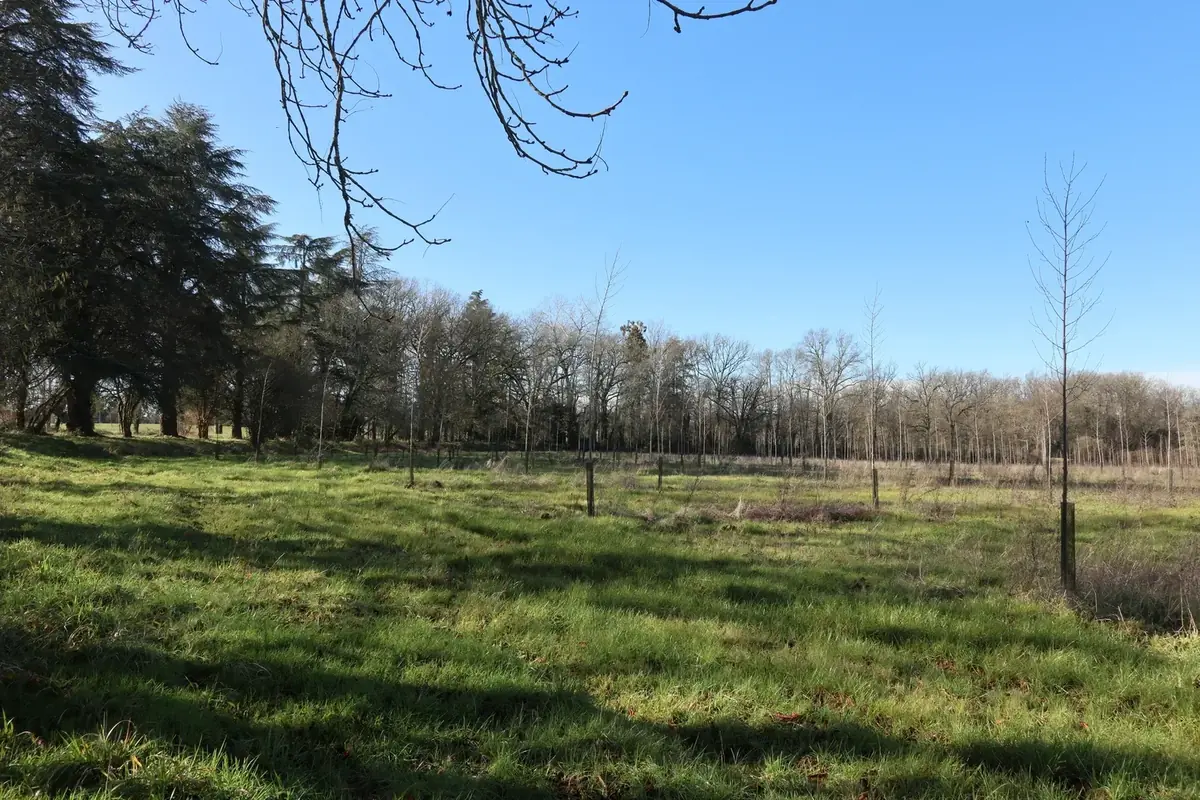 le bois de chambarel — photo 1