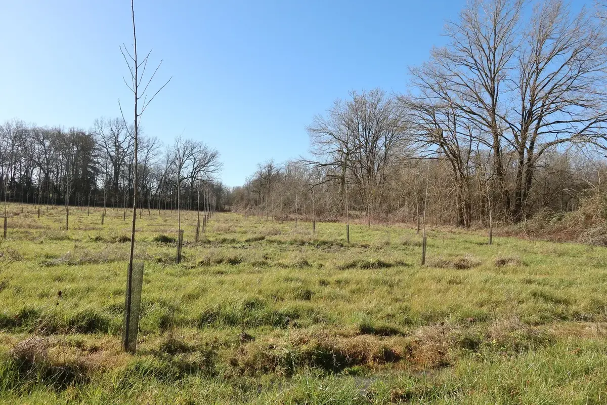 le bois de chambarel — photo 4