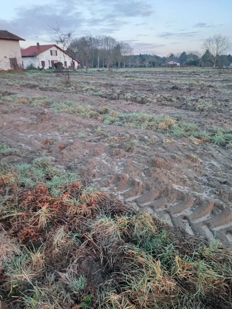 le bois de saturnin — photo 1