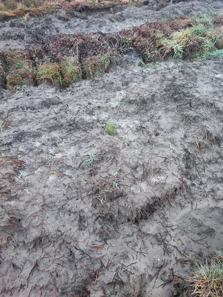 le bois de saturnin — photo 2