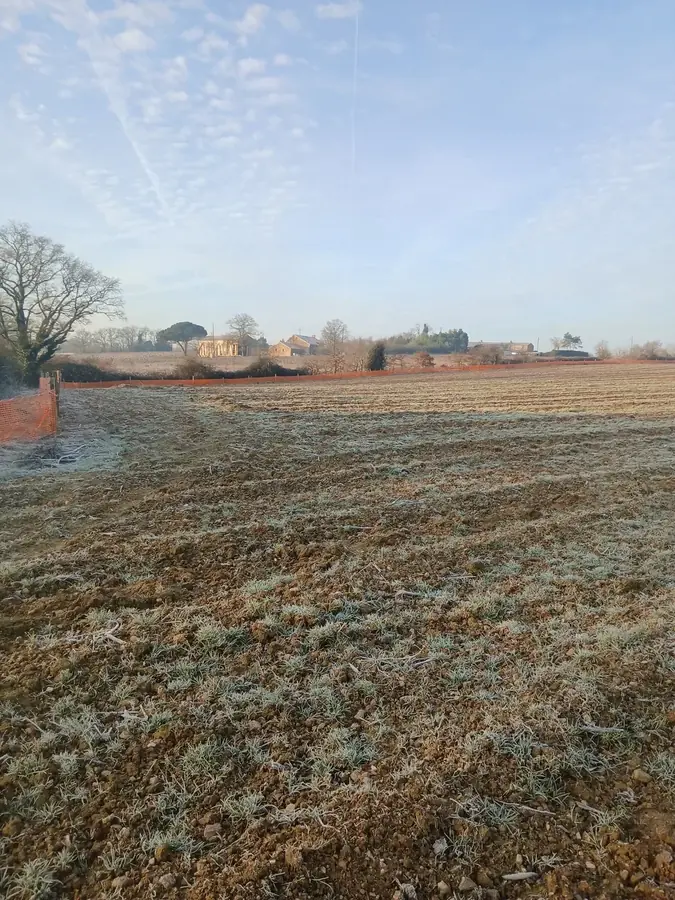 le bois de la rousseliere du petit pont bois du grand pont 2 — photo 1