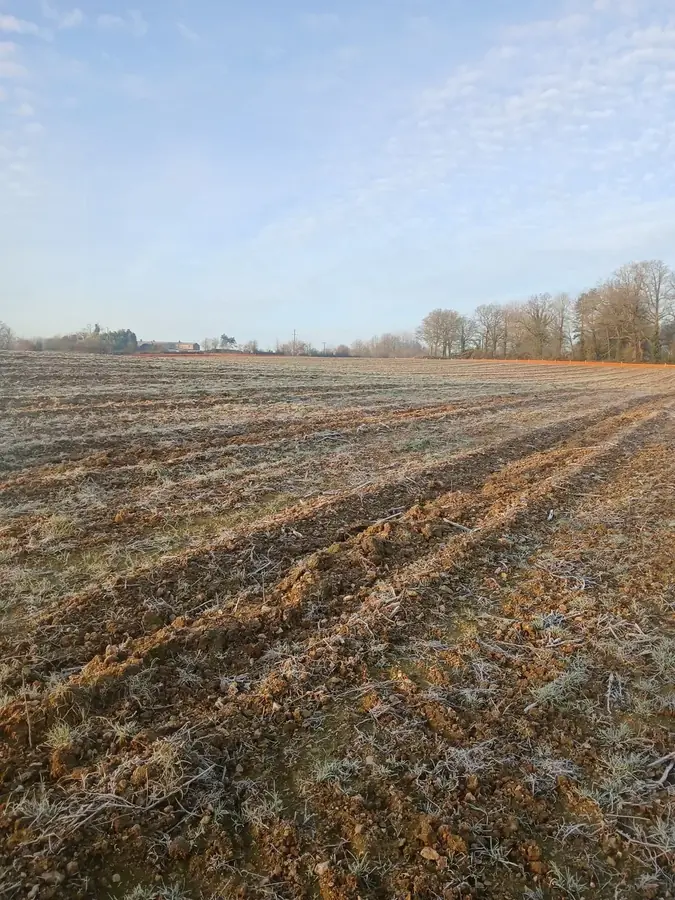 le bois de la rousseliere du petit pont bois du grand pont 2 — photo 3