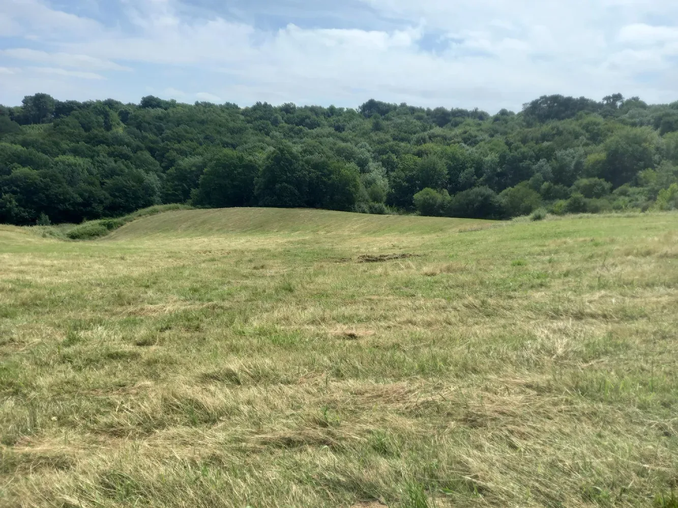 le bois du lot — photo 1