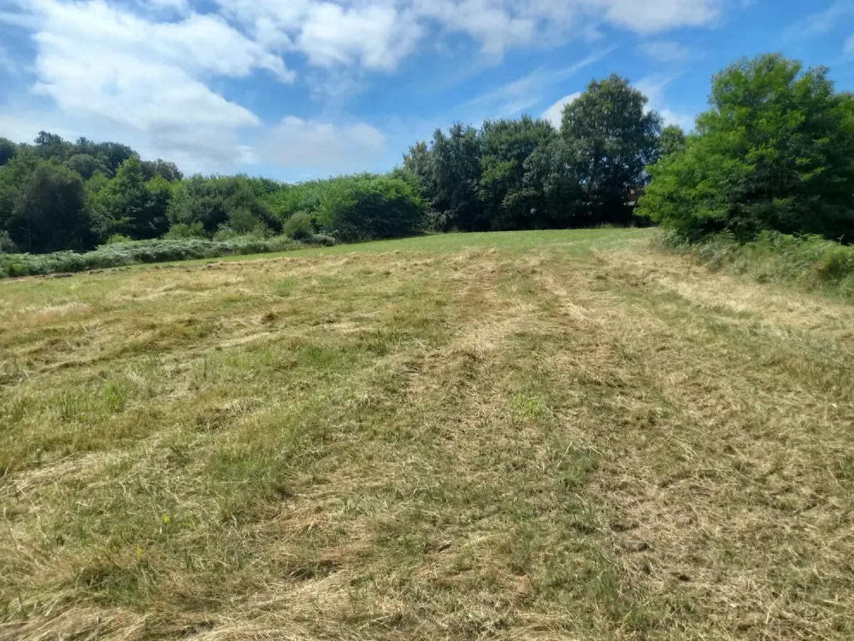 le bois du lot — photo 2