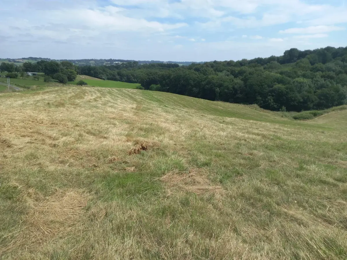 le bois du lot — photo 3