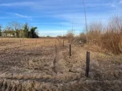 le bois du berlingot — photo 2