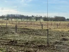 le bois du berlingot — photo 4