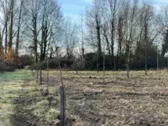 le bois du berlingot — photo 5