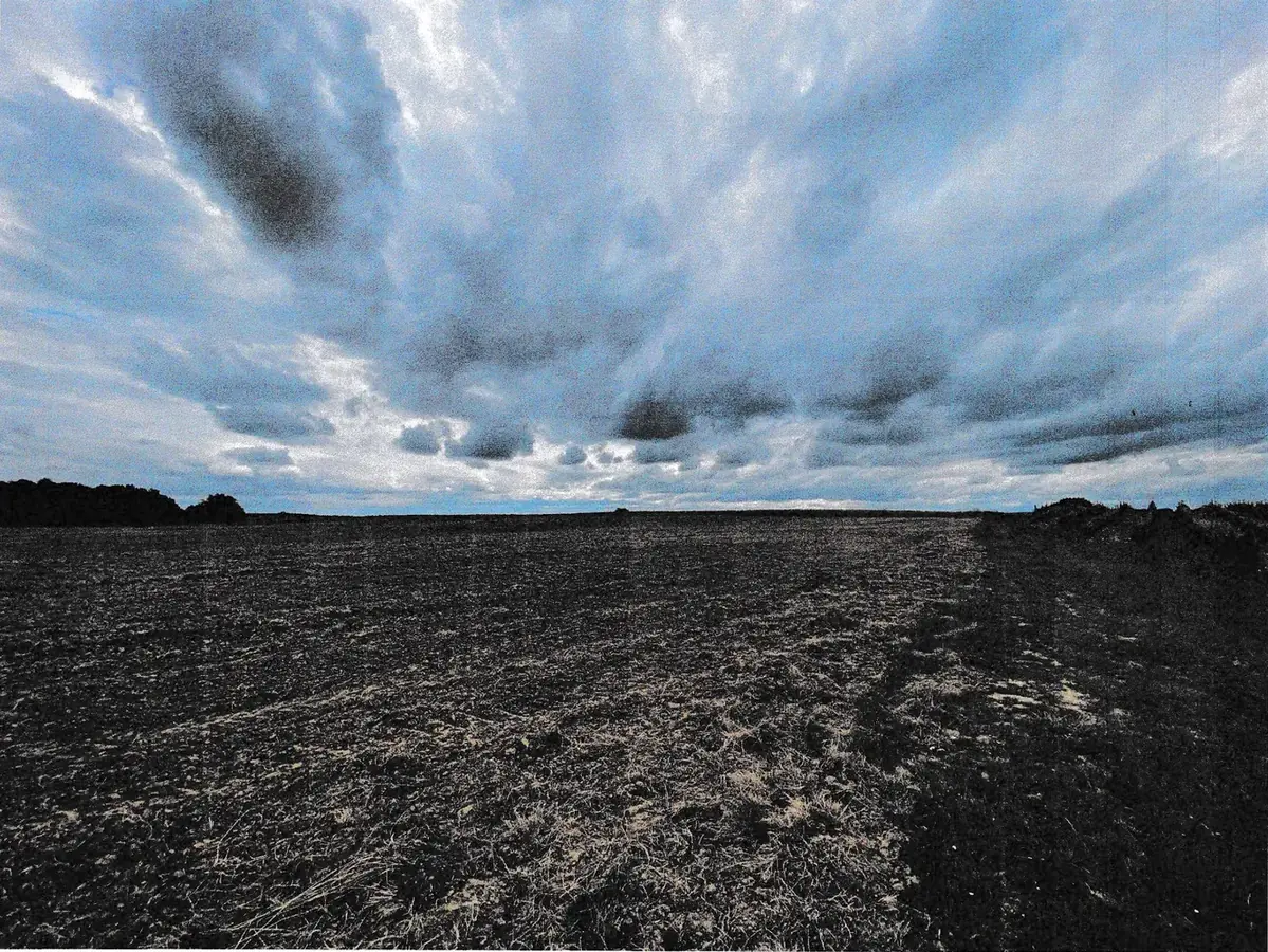 le bois de l engranne — photo 1