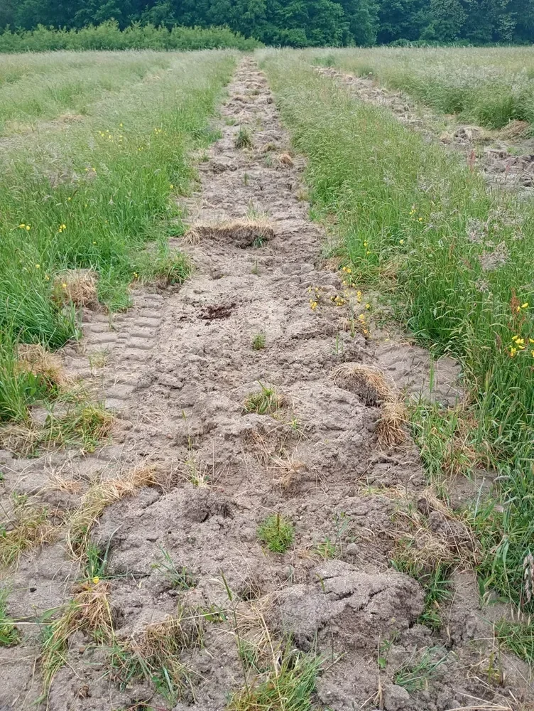 le bois de l arche — photo 4