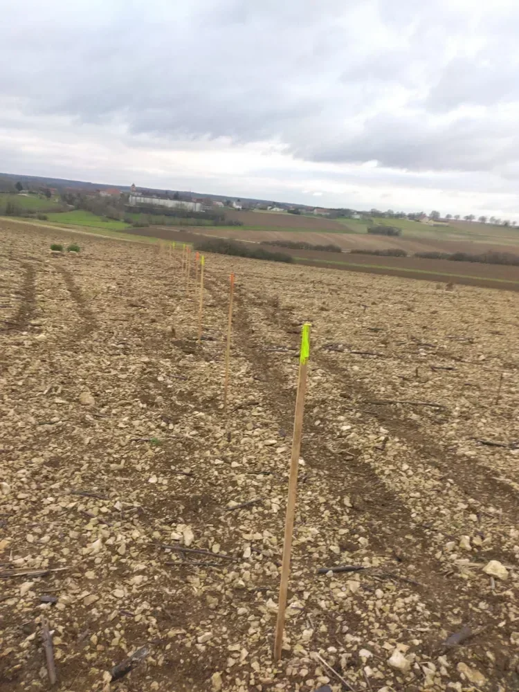 le bois de beauregard — photo 4