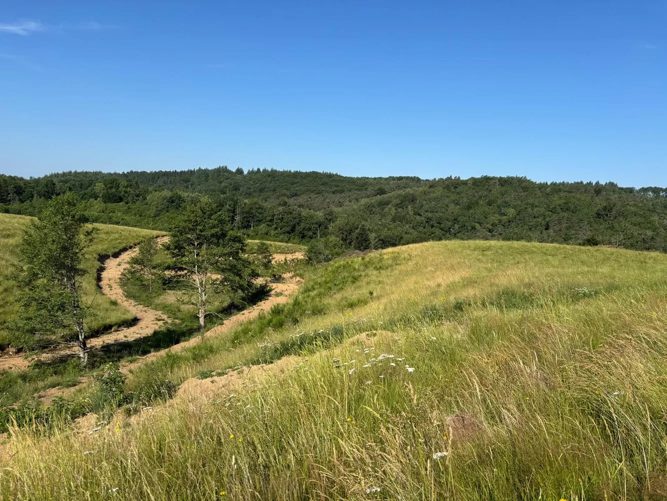 le bois de sans souci — photo 1